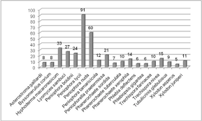 Image result for Lefebvrea longipedicellata