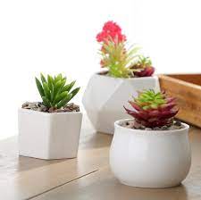 This roundup of 20 small pots for succulents will make shopping easy. Simple White Ceramic Flower Pot Succulents Pot Multiple Shapes Small Flower Pot Home Desk Decoration Flower Pots Planters Aliexpress