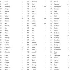 Image result for Balantoides Coli