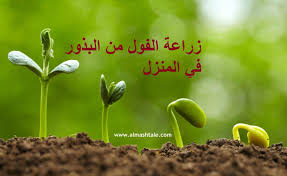 Pin By المشتل On Almashtale Com Green Beans Plants Green