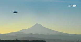 Delta cargo is committed to ensuring predictable quality throughout our global network, delivering innovative products and creating value. Flypdx Dot Tentatively Approves Delta Nonstop Service From Portland To Haneda