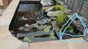 How to make a bog garden next to a pond. Adding A Bog Filter To Raised Pond Garden Pond Forums