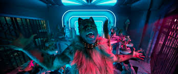 Cats have really long memories! Every Musical Number In Cats Ranked From Huh To What The New York Times