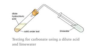 Carbon Dioxide Is Released When Carbonates Are Heated And Turns Clear Limewater Cloudy