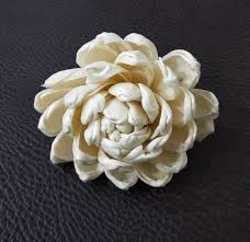 Sola wood blossoms are made of custard plant. Sola Wood Flowers Application Home Decoration Party Decoration At Best Price In Kolkata West Bengal From Abhishek Petals Pvt Ltd Id 5512747