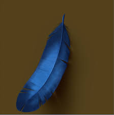 I really hope this is hel. How To Draw Feathers Draw Central