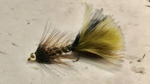 The fly is unweighted and can be fished at depth by. Sunday Swing Fly Pattern Headhunters Fly Shop