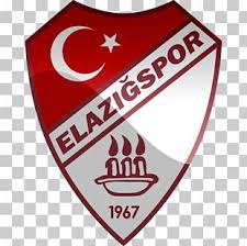 Vector + high quality images (.png). Altinordu F K Tff 1 League Buyuksehir Belediye Erzurumspor Fenerbahce S K Football Png Clipart Area Brand Circle Exhibition Game Football Free Png Download