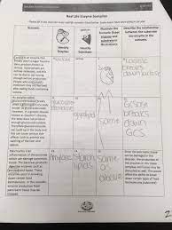 Monohybrid cross worksheet answers genetics and heredity worksheet answers and monohybrid cross punnett square worksheet are three of main things we want to show you based on the gallery title. Amoeba Sisters Video Recap Answers Learn Lif Co Id
