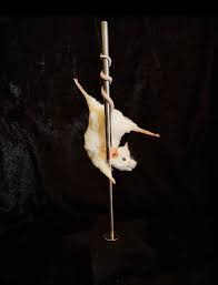 Stripper Mouse Tiffany - Etsy