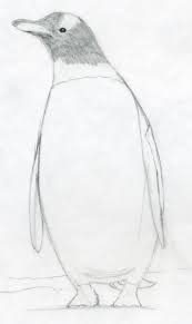 How To Draw A Penguin Penguin Drawing Monochromatic Art Pencil Drawings Easy