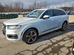 Image result for Florett Silver 2019 Q7