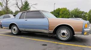 Image result for Brun Erable 1982 Fleet