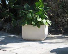 Shop allmodern for modern and contemporary commercial use planters to match your style and budget. 62 Commercial Planters Ideas Commercial Planters Planters Stone Planters