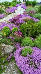 We did not find results for: Secret Garden Design Dreamy Nature Flower Garden Design Beautiful Gardens Plants