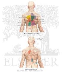 This is the least common location for radiculopathy. Zygapophyseal Pain Patterns Of The Thoracic Spine