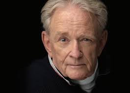 Anteaters in the Arts