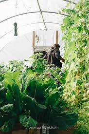 The rion grand gardener 2 greenhouse features two kinds of virtually unbreakable polycarbonate coverings. 8 Best Small Greenhouse Kits For Indoor Growing