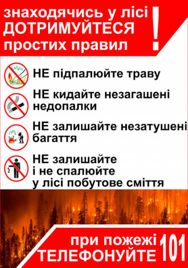 Правила поведінки в лісі