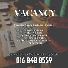 Check all our available jobs & jobs vacancies at olx kota. Vacancy At Pet Paradise Pet Paradise Kota Kinabalu Facebook