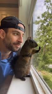 ❤️❤️ Peanuts Freedom Farm Animal Sanctuary Inc.