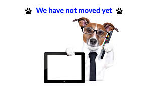 You can see how to get to cape coral pet vet on our website. We Have Not Moved Yet We Know Everyone Cape Coral Pet Vet Facebook