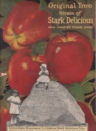 Check spelling or type a new query. 77 Stark Bro S Since 1816 Ideas In 2021 Stark Deep Rooted Bros
