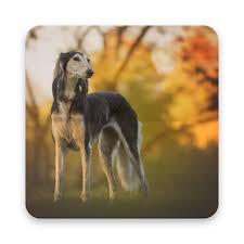 Featuring racecards, race results and latest greyhound news. Greyhound Wallpaper Hd Apk 1 0 0 Download Apk Latest Version