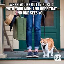 Strutting out of clean litter like a rockstar because of siftease. 45 Cat Memes You Ll Laugh At Every Time Reader S Digest