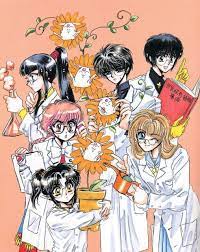 Download Anime Magic Knight Rayearth Sub Indo Chipscelestial