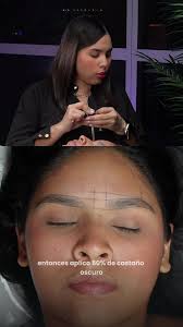 Qué Color Queda El Pigmento De La Ceja Castaño Y Medio