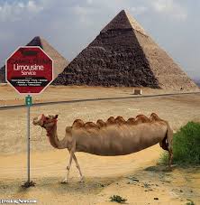 I tossed out four options: Camel Runs Price List Published By Rompers Cousin From Greece On Day 3 711 Page 1 Of 1