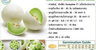 hydroponic ไฮโดรโพน กส พ ชไร ด น ป ยab เมล ดพ นธ พ ช zen hydroponics อาหาร การปล กพ ช