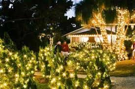 Maybe you would like to learn more about one of these? Sarasota Holidays Let There Be Lights Visit Sarasota
