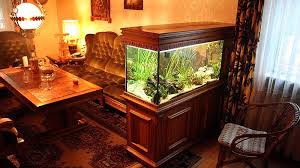 Are actual aquariums with real fish! 20 Fresh Fish Tank Living Room Little Big Adventure