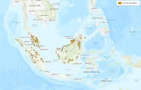 Since 2008, it has been listed as endangered by the iucn due to destruction of wetlands in their habitat. Assets Video Intro The Global Wild Cat Conservation Organization Continue To Panthera Org Https Dg2d3wxprq381 Cloudfront Net Cms Sites Default Files Blog Post Header 2 Jpg Itok U1hg6izj Field Notes Panthera S Blog Www Panthera Org Blog Small Cat