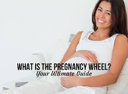 What Is The Pregnancy Wheel Your Ultimate Guide