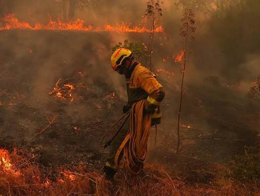 España lucha contrarreloj contra los incendios ante una nueva ola de calor | Meganoticias