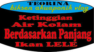 Ketinggian Air Kolam Yang Ideal Untuk Ternak Lele Berdasarkan Panjang Ikan Lele Youtube