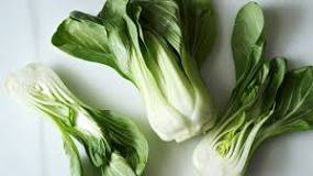 Who should not eat bok choy?