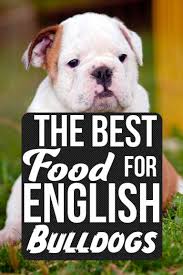 The best dog food for bulldogs: Pin On Kiks
