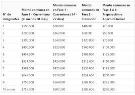 El próximo año el gobierno iniciaría el pago de una nueva versión del ingreso familiar de emergencia. Como Postular Al Bono Ife Rebrote Y Bono Covid 2021 Requisitos Plazos Y Montos Lanzate Solo El Blog