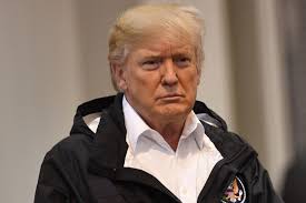 Artist Peter Saul gives President Trump the brush off