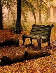 Things I Need My Daughter To Know Park Bench Old Benches Nature Wallpaper