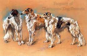 archive canine art borzoi coloriage branche de citron