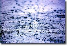 Le cose vanno sempre peggio a chi sta già male. Piove Sempre Sul Bagnato Il Libro Dei Proverbi Falsi Di Alberto Viotto