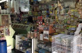 Dollar tree store locations in lakewood, california (ca). John S Feed Pet Supplies 6821 Santa Fe Ave Huntington Park Ca 90255 Yp Com
