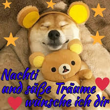 Gutenacht Bild Hund Gute Nacht Nacht Gute Nacht Und Susse Traume