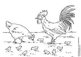 Aves De Corral Para Colorear Rooster Coloring Pages Chickens
