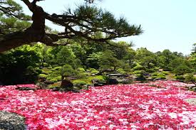 梨県 長野県 岐阜県 静岡県 愛知県 三重県 滋賀県 京都府 大阪府 兵庫県 奈良県 和歌山県 鳥取県 島根県 岡山県 広島県 山口県 徳島県 香川県 愛媛県 高知県. æéè¨ æ¥æ¬å±±é° å³¶æ ¹ Rj Travel Life